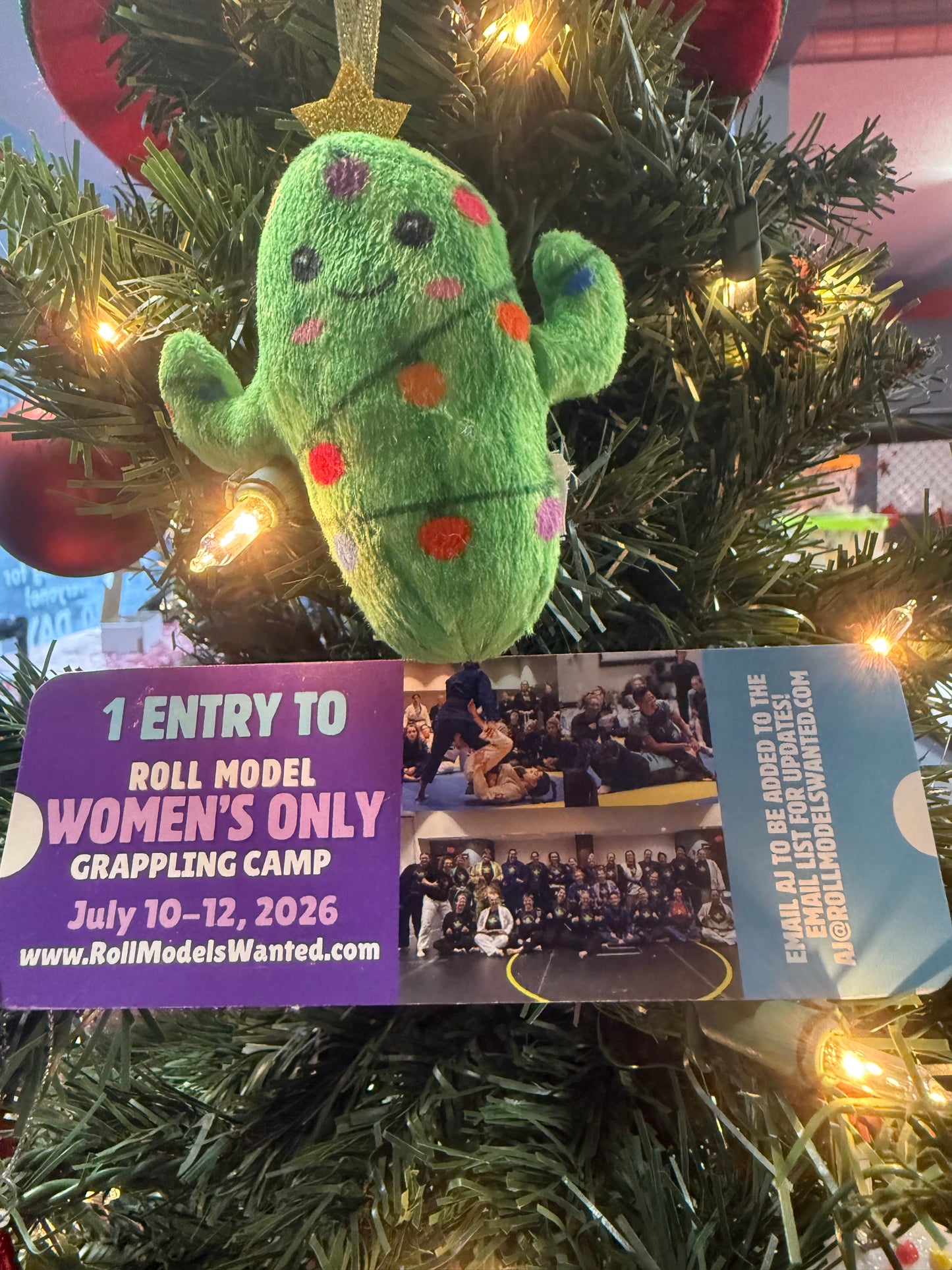 GIFT- 2026 Roll Model Women’s Only Grappling Camp - Indy Base Camp