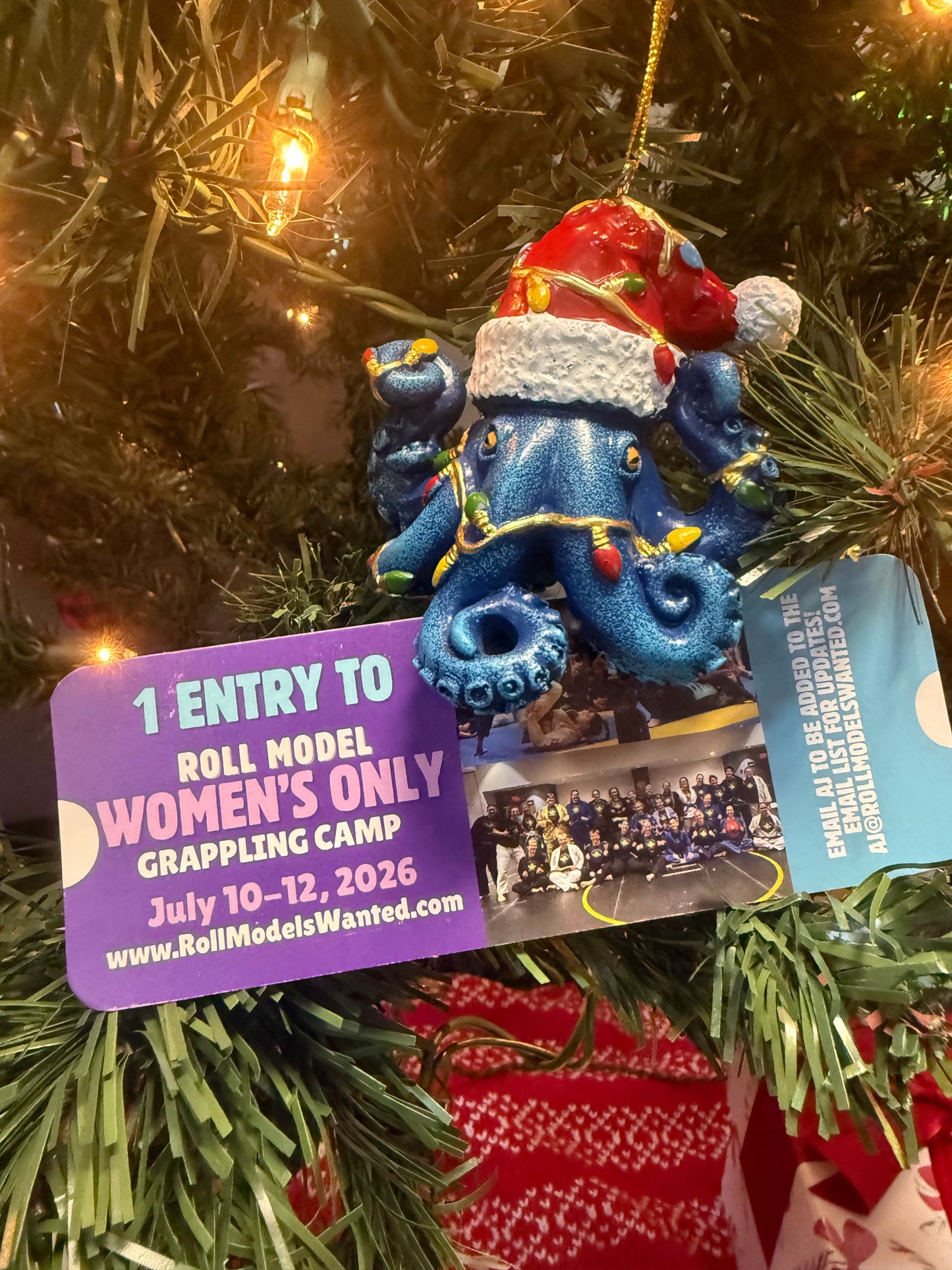 GIFT- 2026 Roll Model Women’s Only Grappling Camp - Indy Base Camp