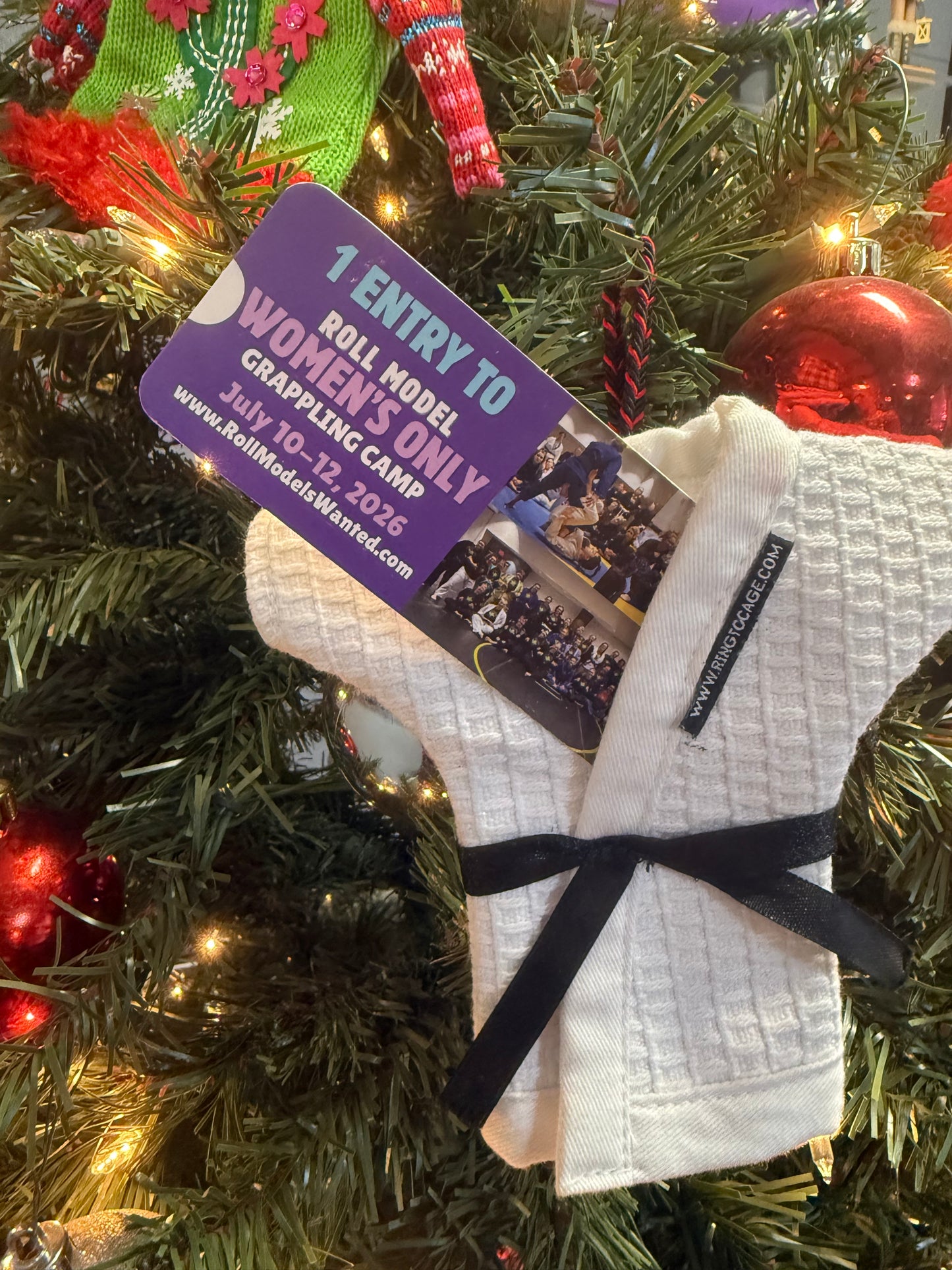 GIFT- 2026 Roll Model Women’s Only Grappling Camp - Indy Base Camp