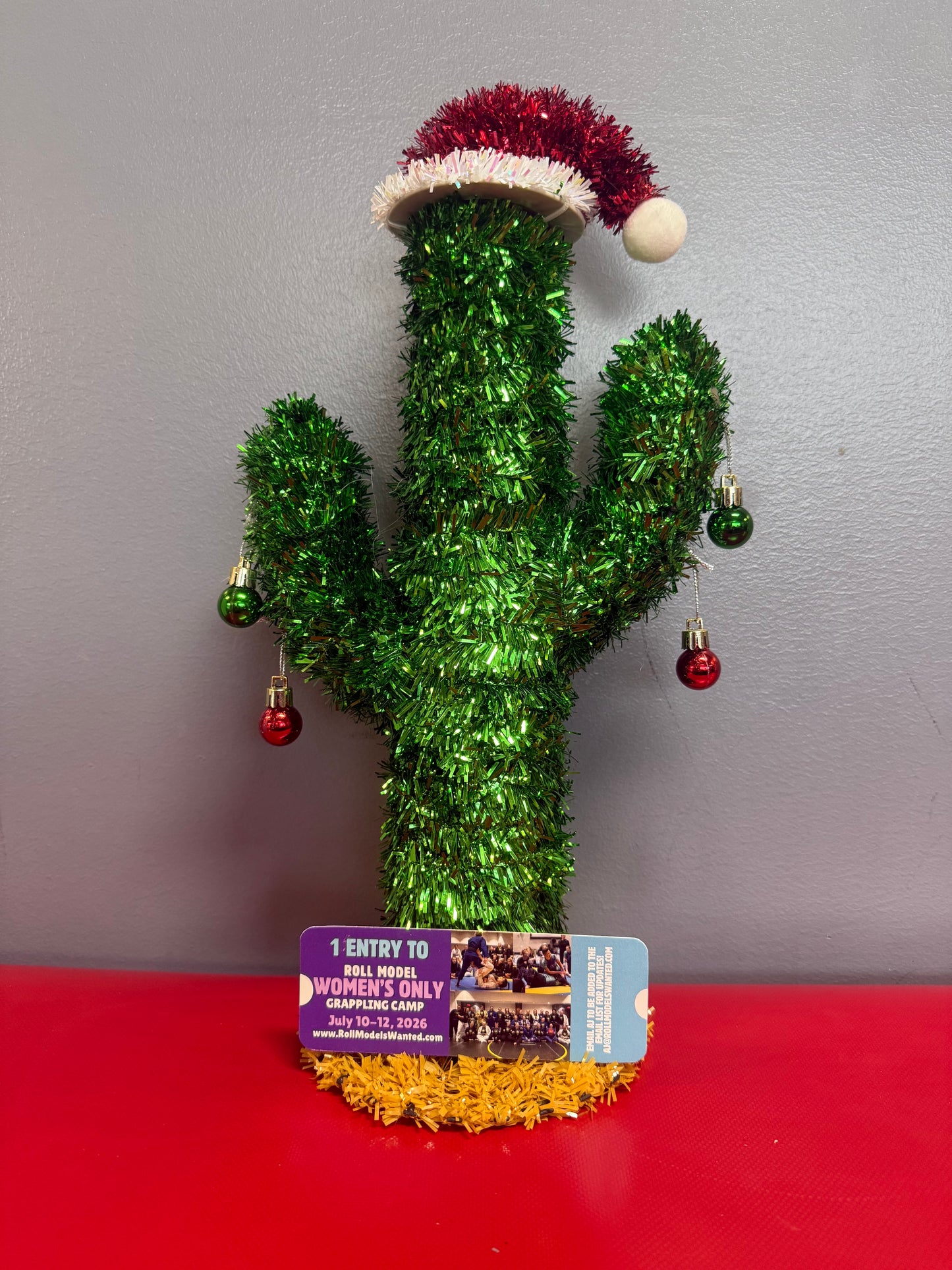 GIFT- 2026 Roll Model Women’s Only Grappling Camp - Indy Base Camp